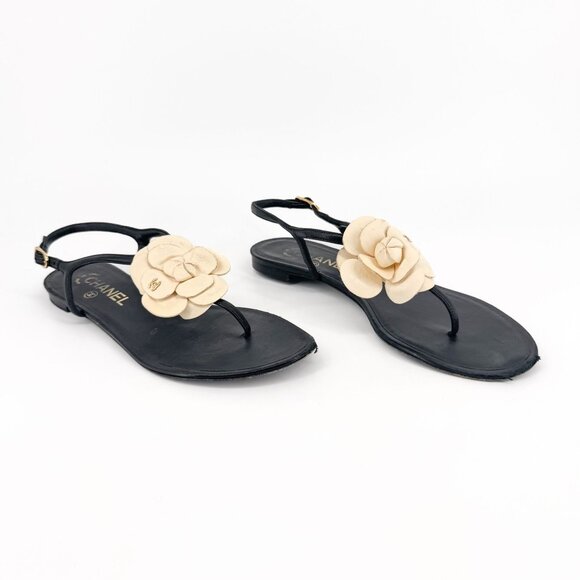 Chanel Camellia Flower CC Sandals Size 37.5C US 6.5-7 Black Leather Flat T-Strap - Picture 1 of 14